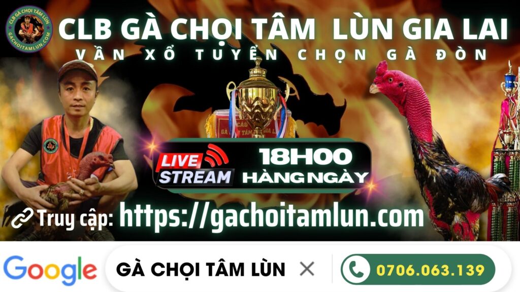 Video 19h03 ngày 3/11 – Gà Chọi Tâm Lùn
