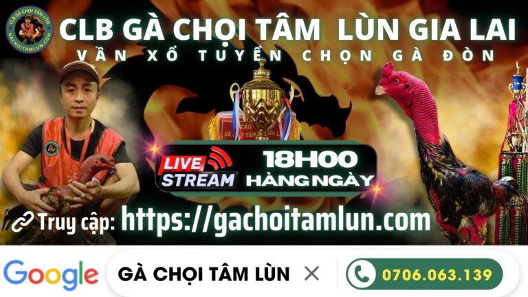 Video 19h03 ngày 3/11 – Gà Chọi Tâm Lùn